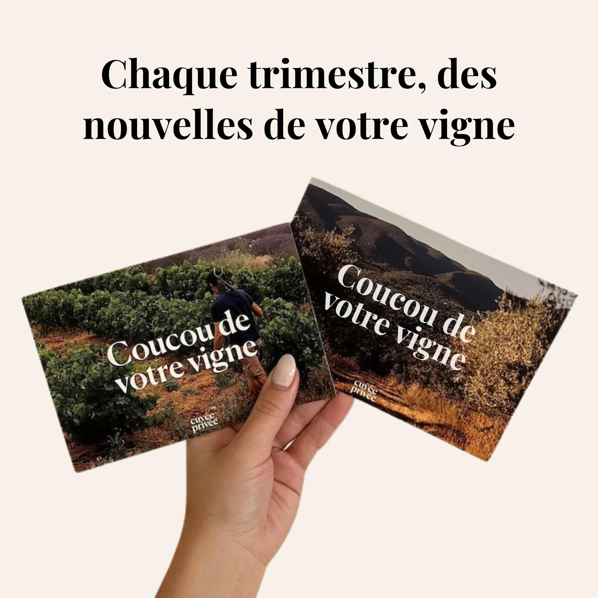 Offrez une adoption de vigne - Image 7