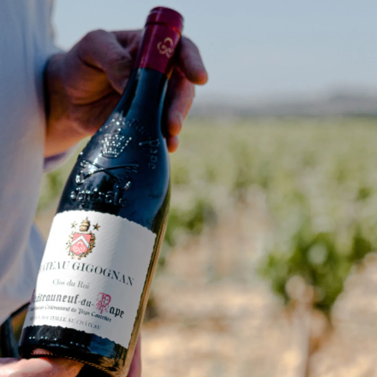 Adoption Châteauneuf-du-Pape - Image 6